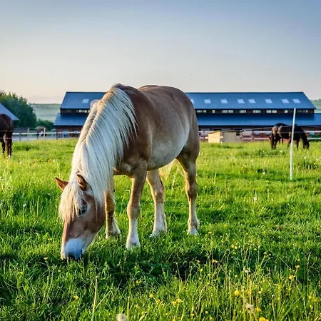 Dovolenkový dom Cucoriedka Dovolenkovy Dom Hladovka